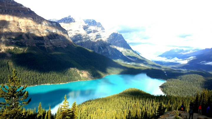 Lake Peyto