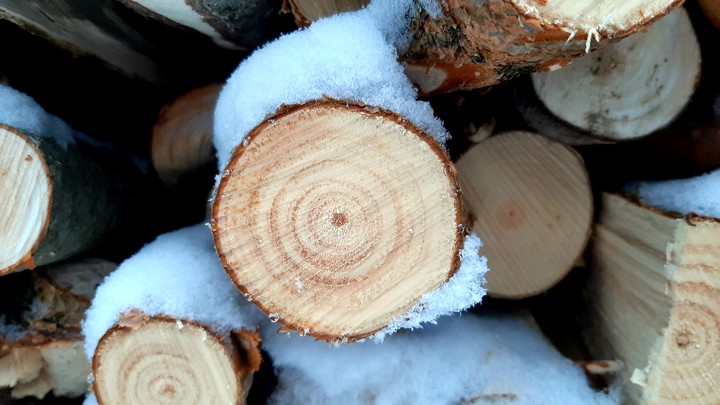 Wood