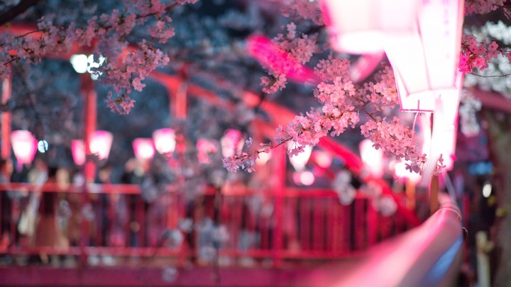 pink