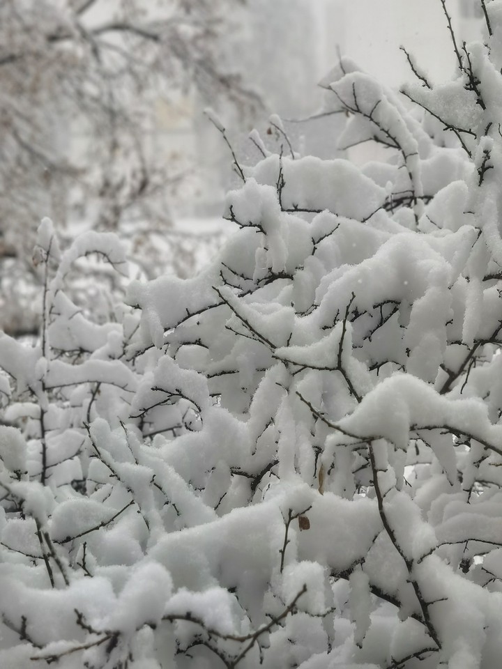 snow