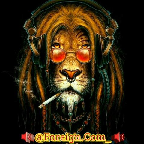 摄影, 野生动物壁纸