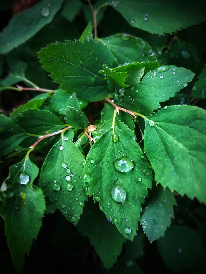 Bright green