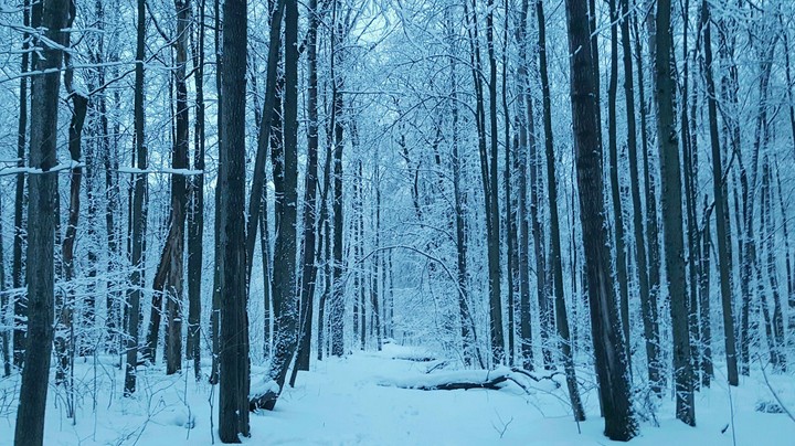 winter