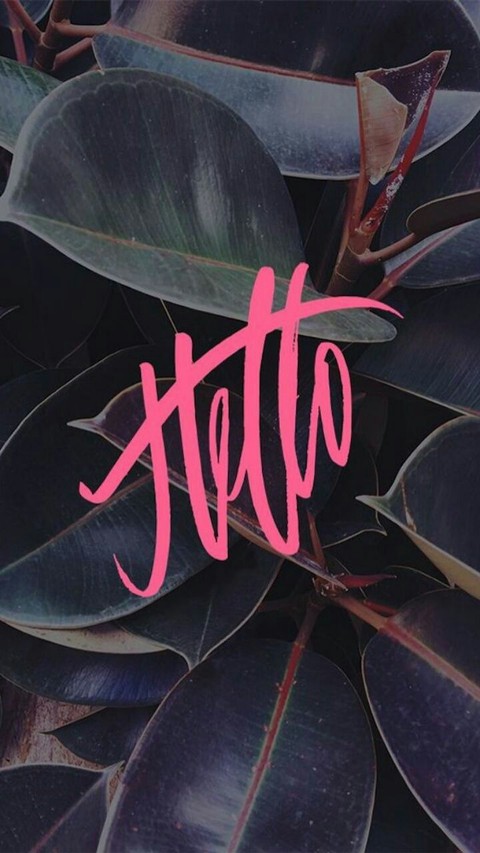 hello