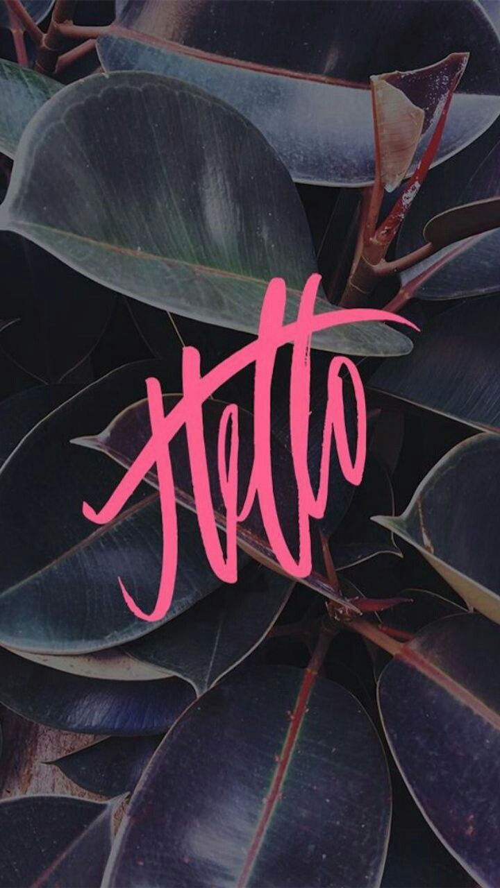 hello