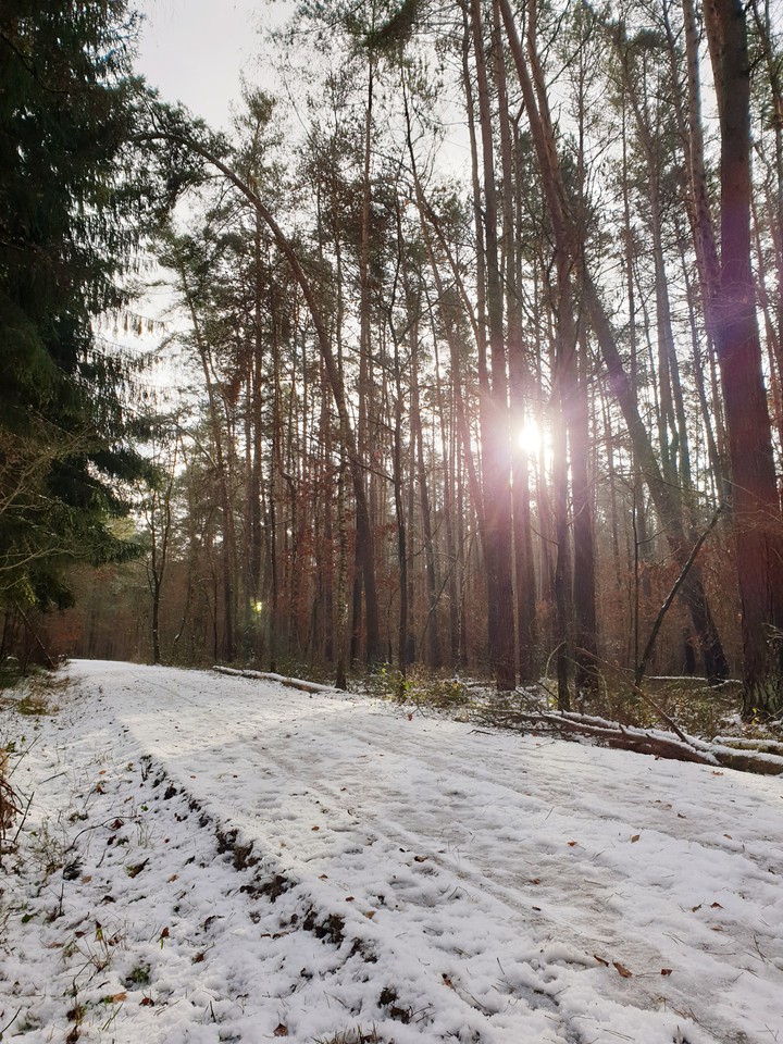 Schnee