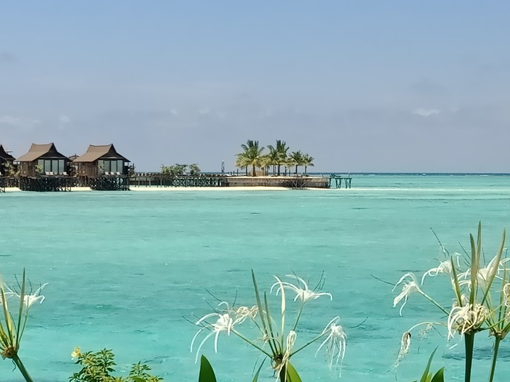 Vacation