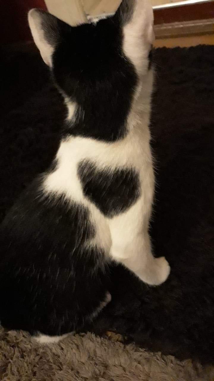 ?