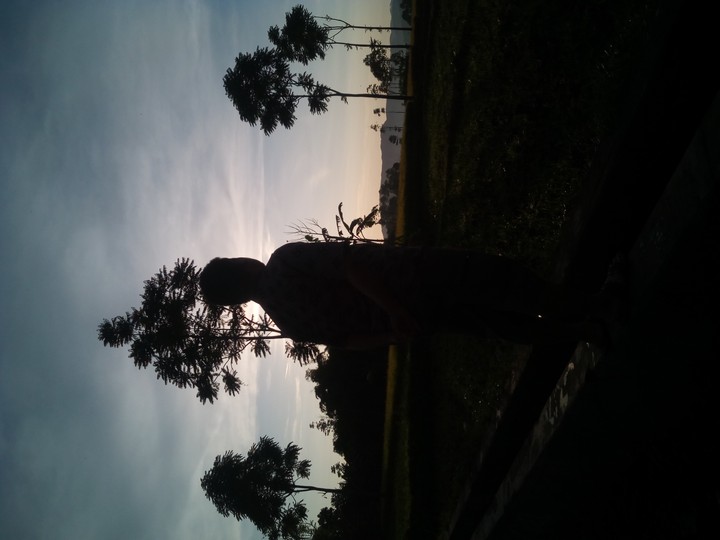 morning