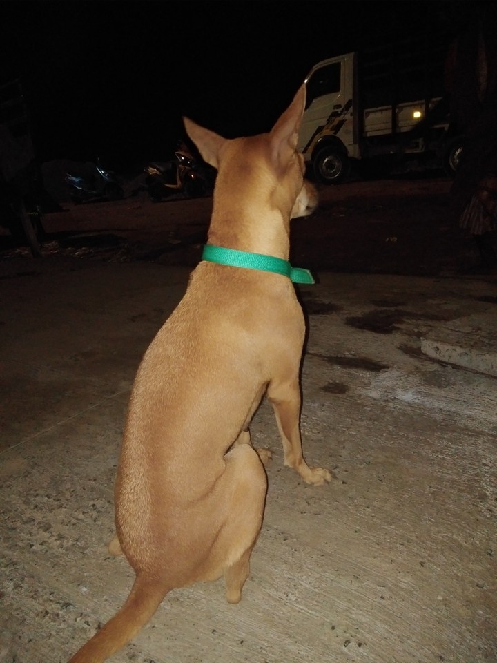 jeny