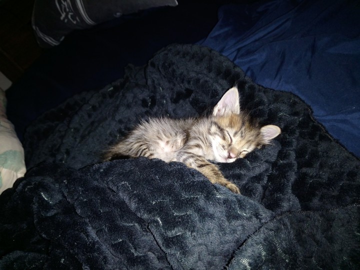 Kiki