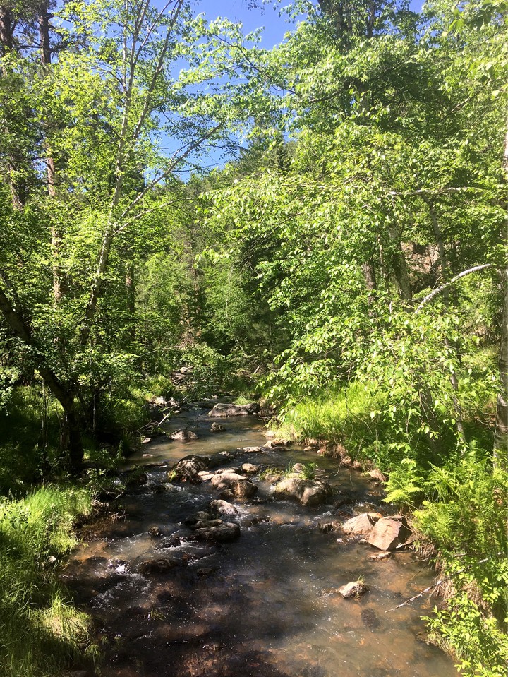 Creek