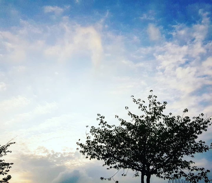 하늘