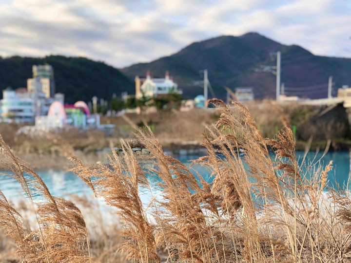 The Color of The Village