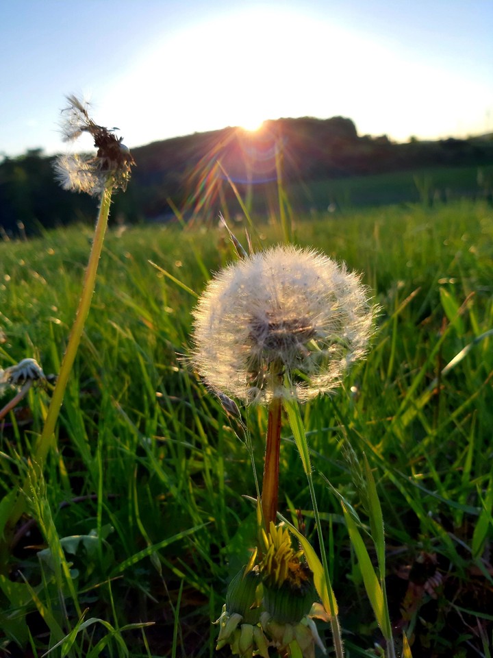 Endlich ein wenig sonne???