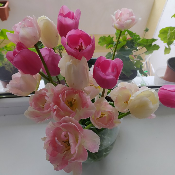 bunch of flowers