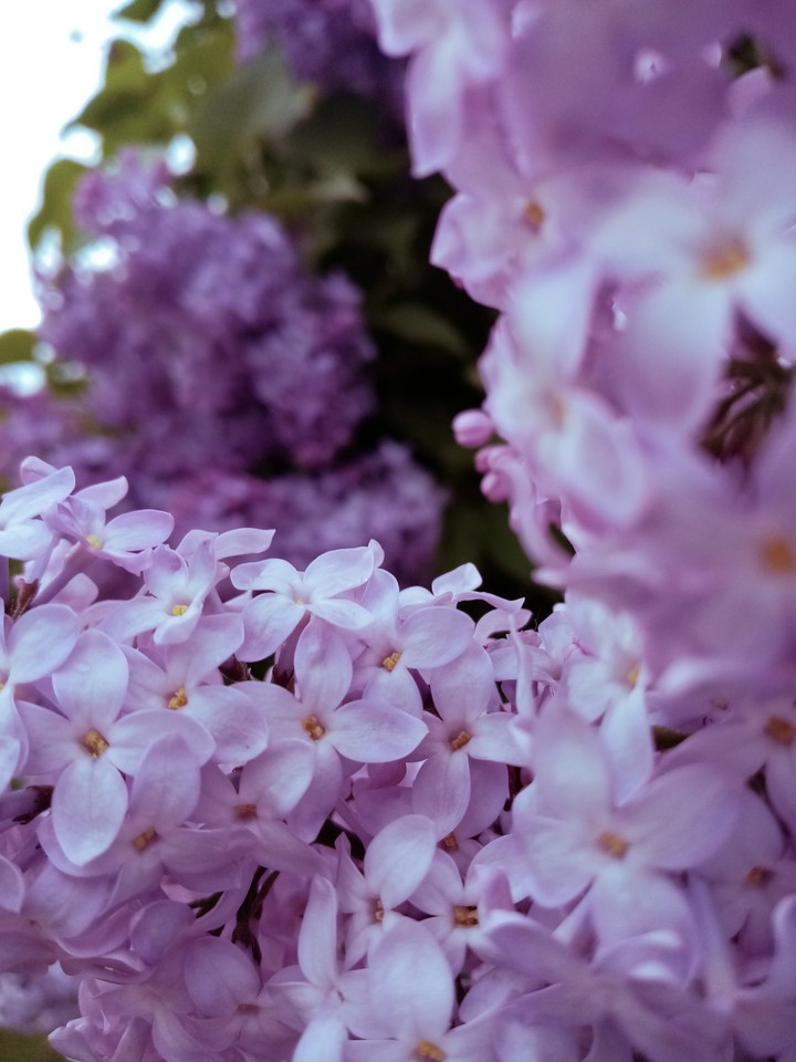 May