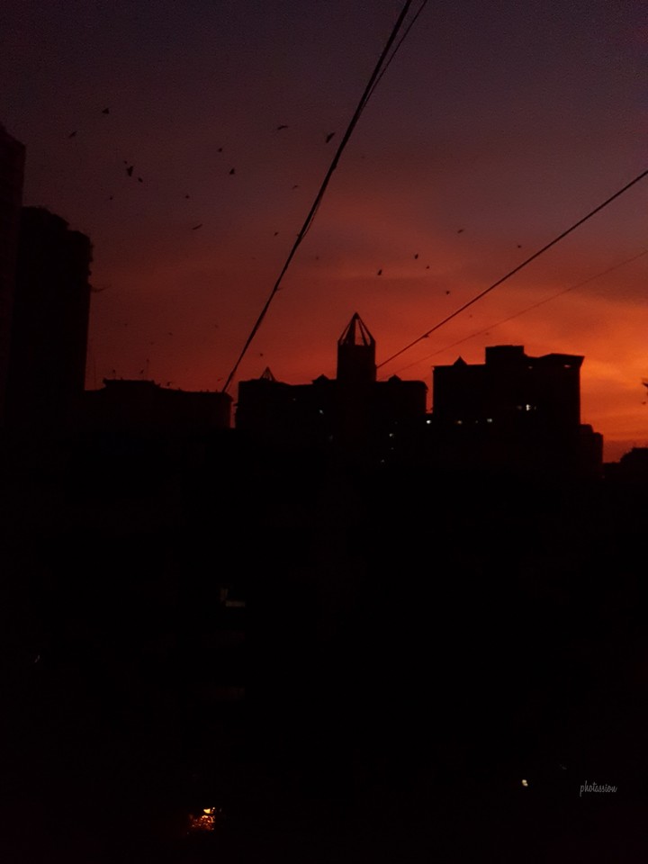 dusky