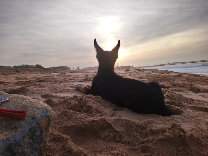 monica plage