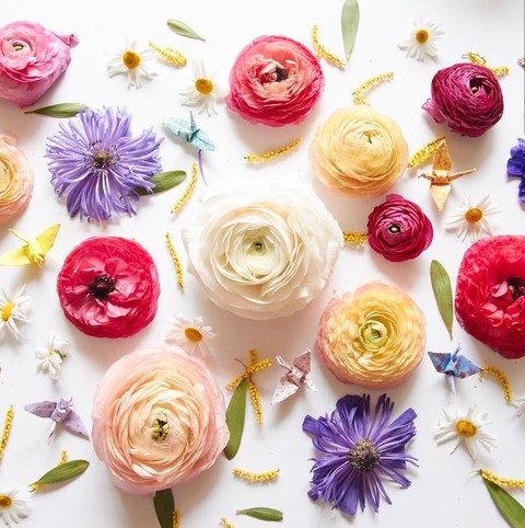 blossoms