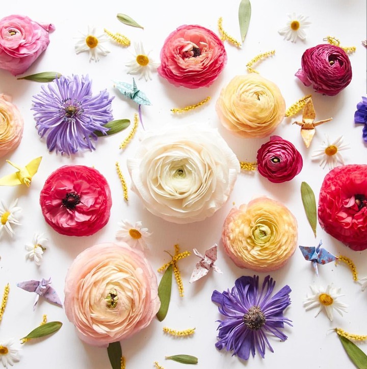 blossoms