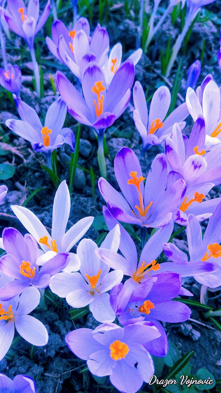 Wonderful nature...