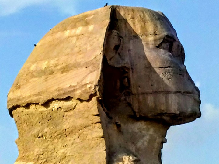 Mysterious Sphinx