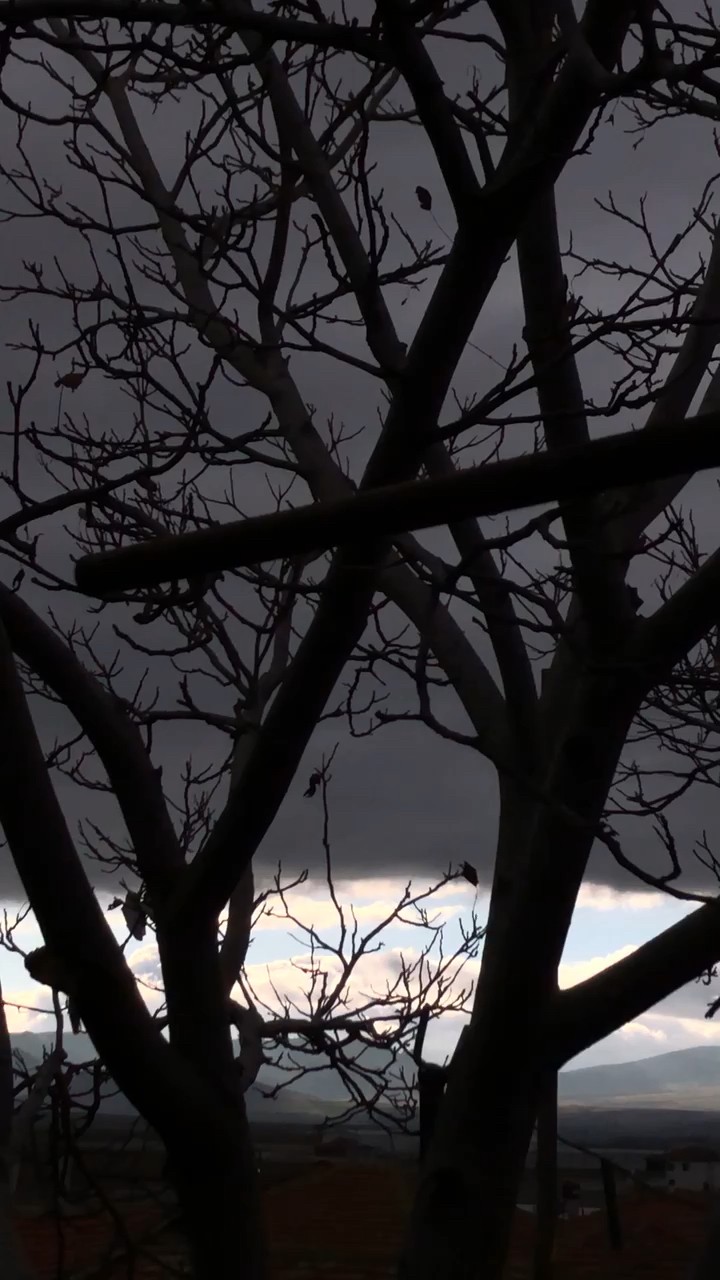 How cute and fear this sky