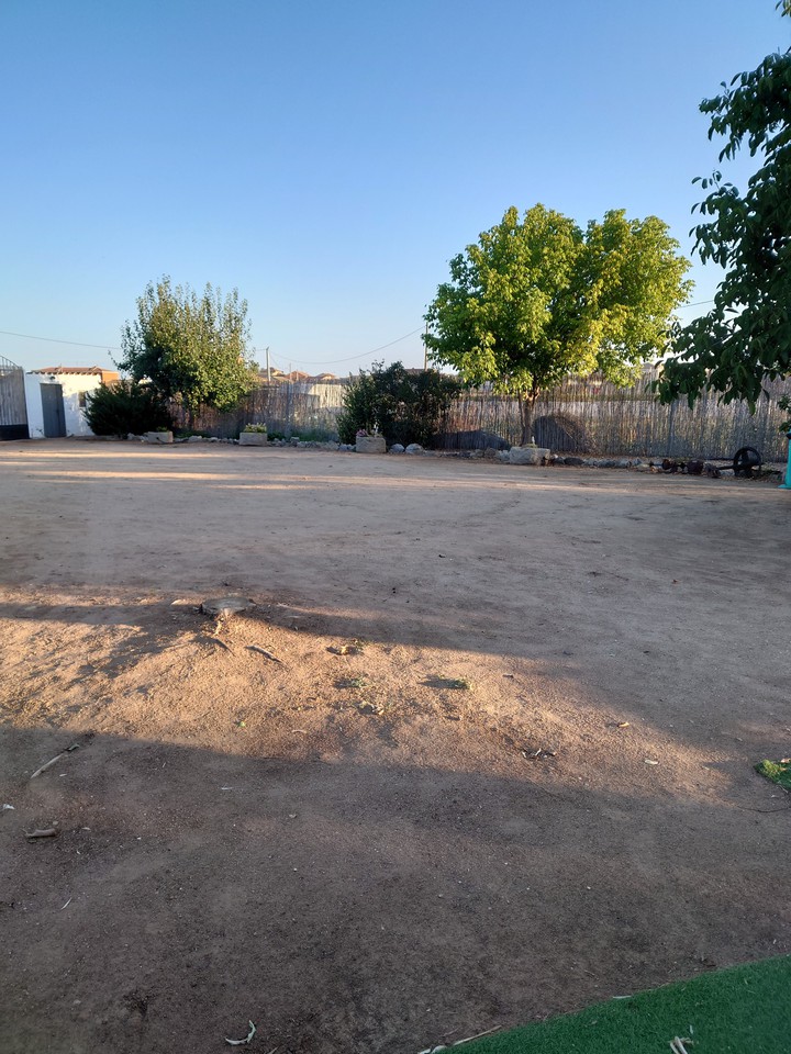 Día de Campo