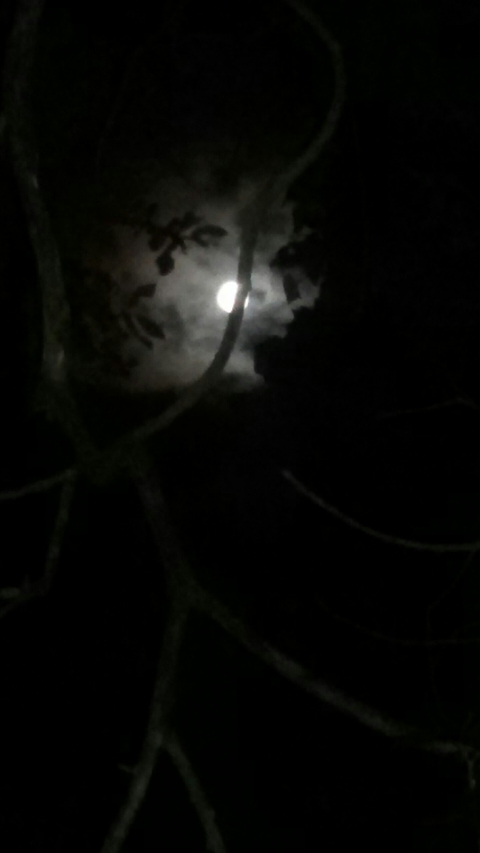 Vollmond