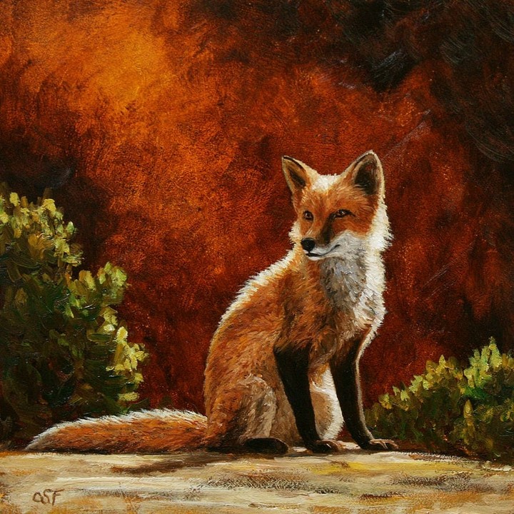 Fox