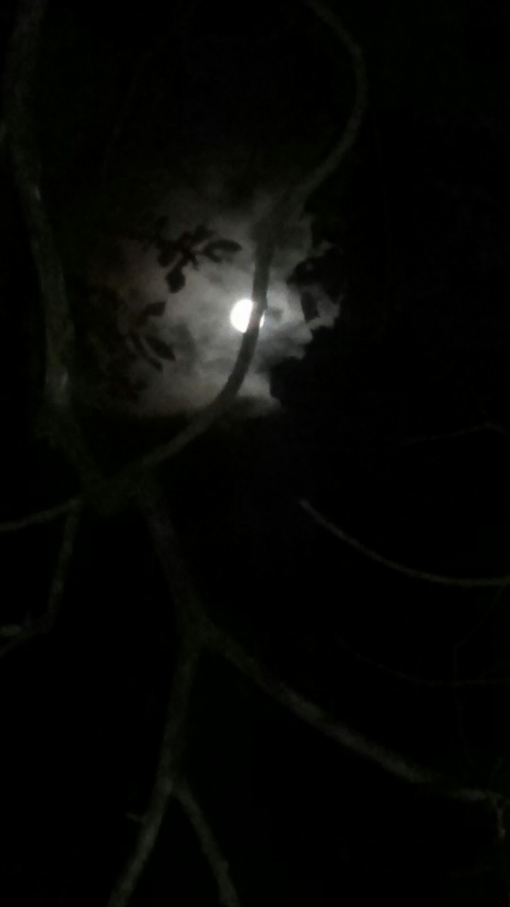 Vollmond