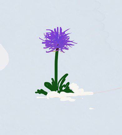 the army's flower