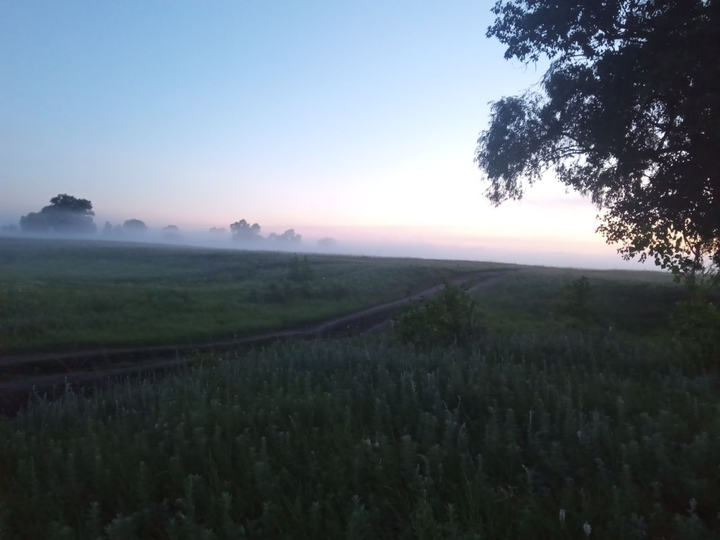 morning