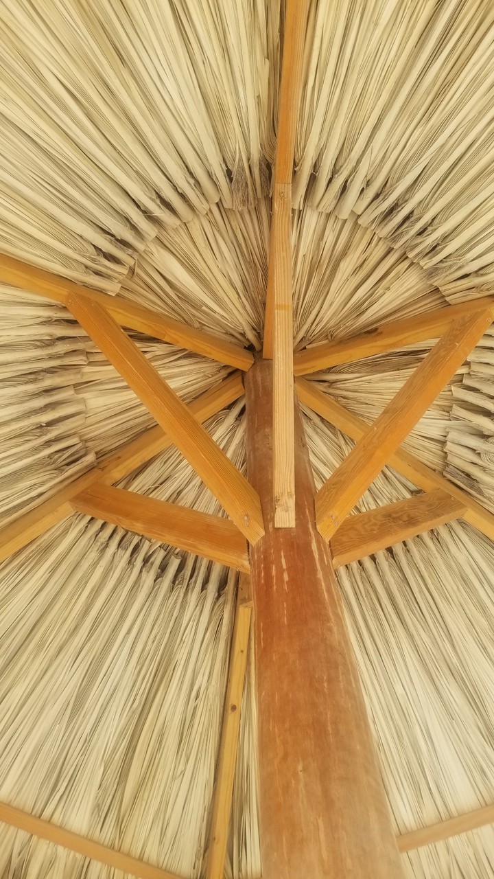 Canopy