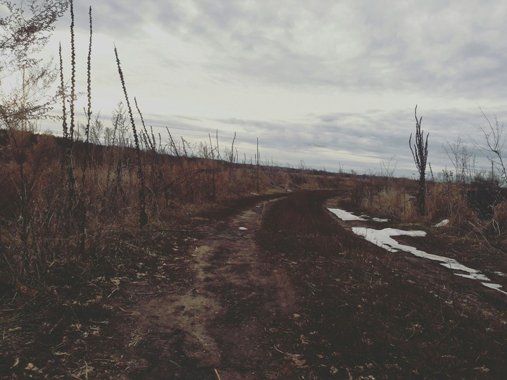Сумречная красота