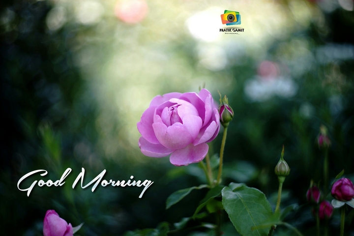 Good morning