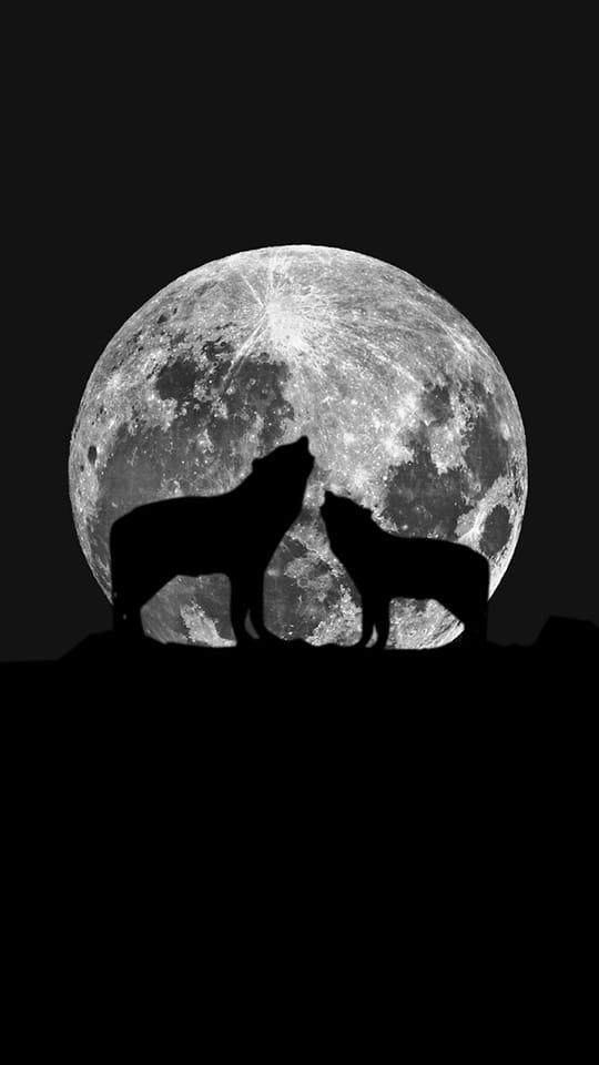 Moon
