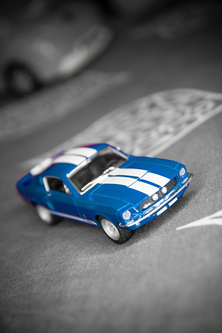 shelby