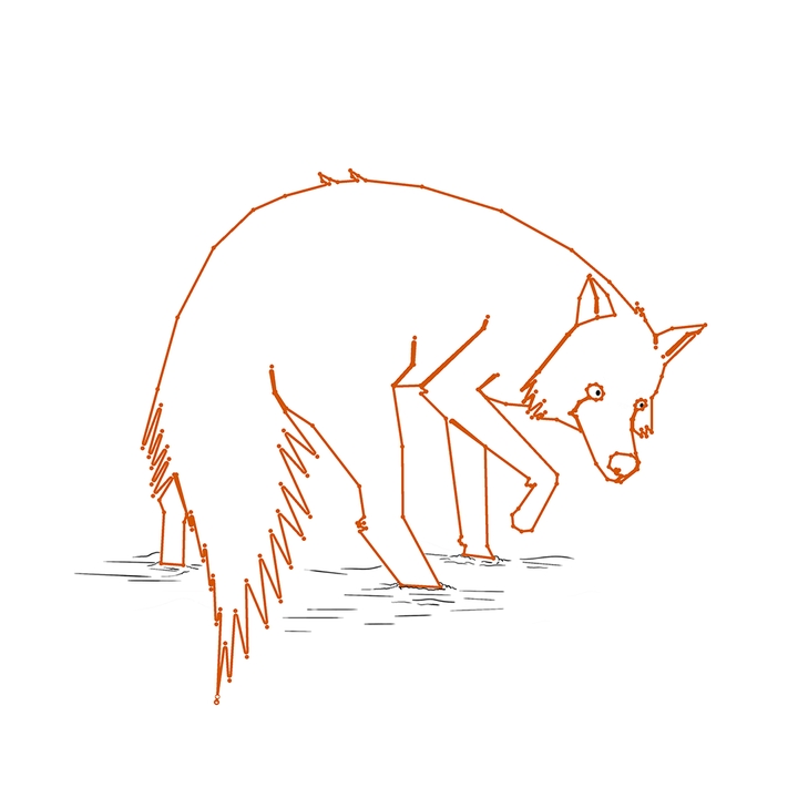 Tilki #Fox#