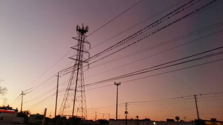 #birds#blue sky