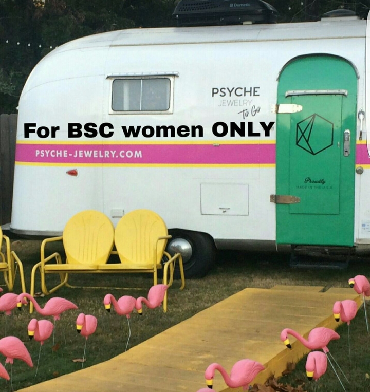 on the go bsc crazy women shopping