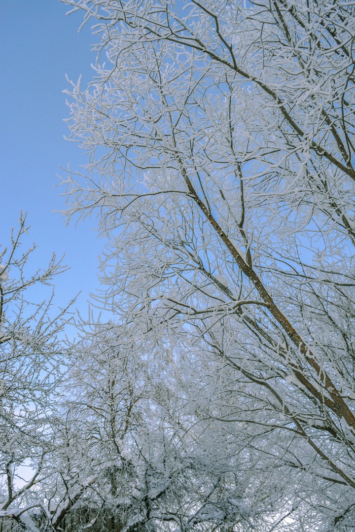 snowy