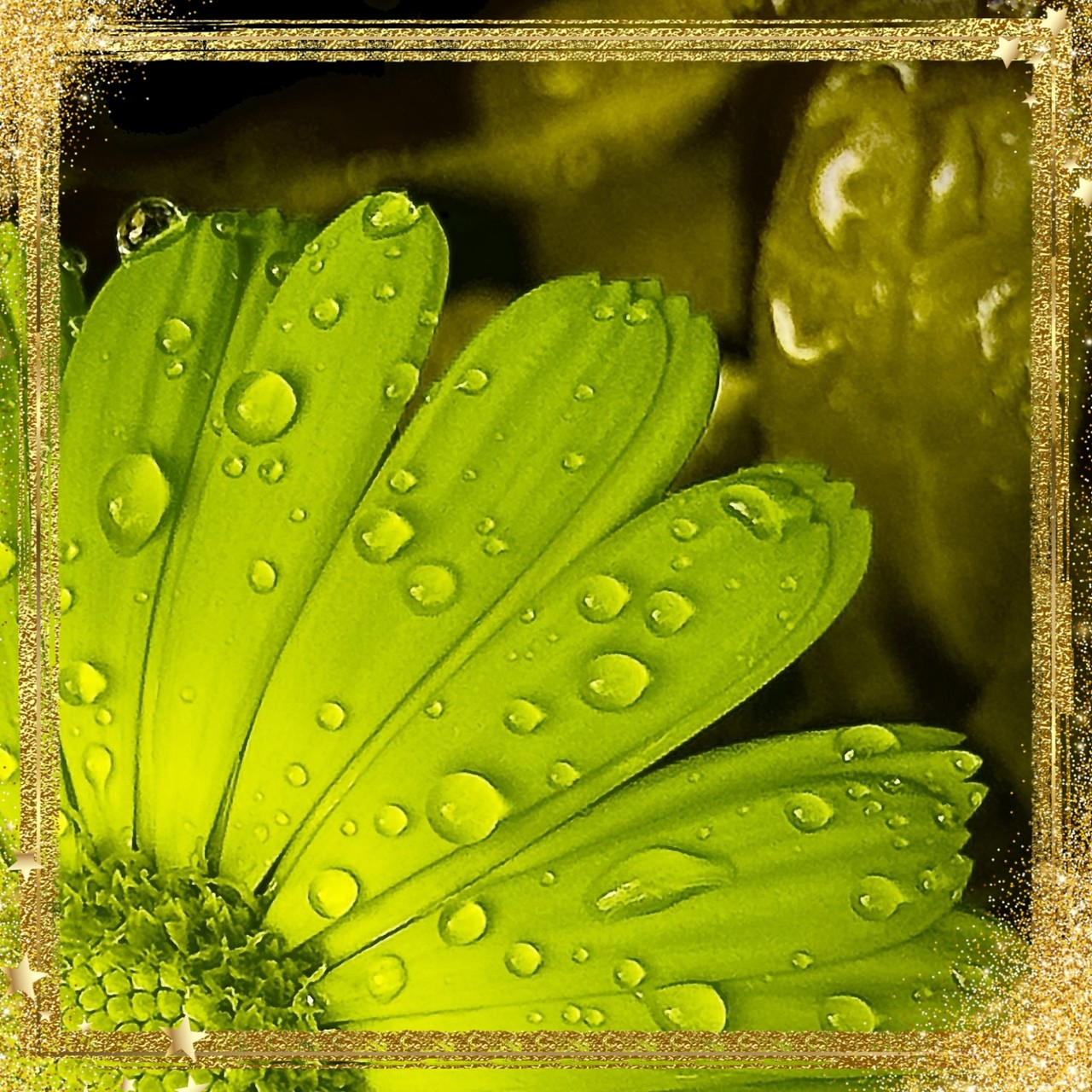 Green petals and drops