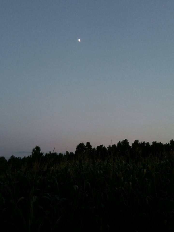 moon