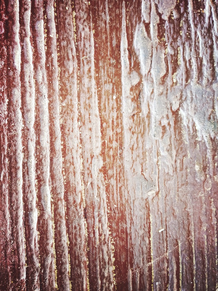 wood floors tree