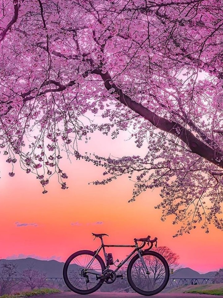 La bicicleta ❤️❣️