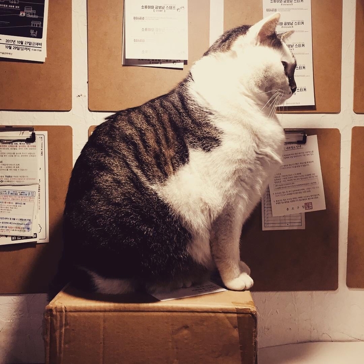 BO