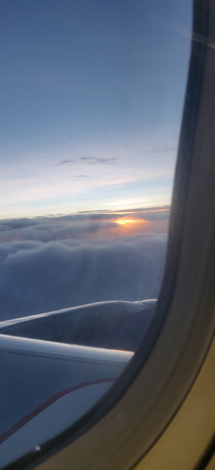 flight