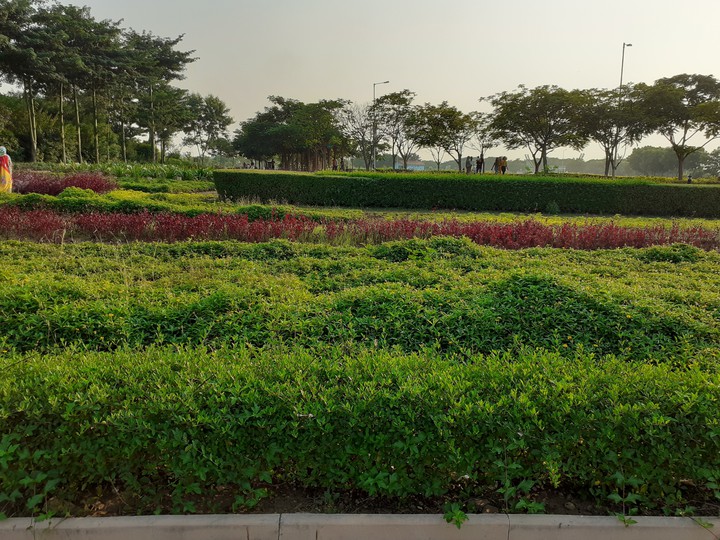 Greenery